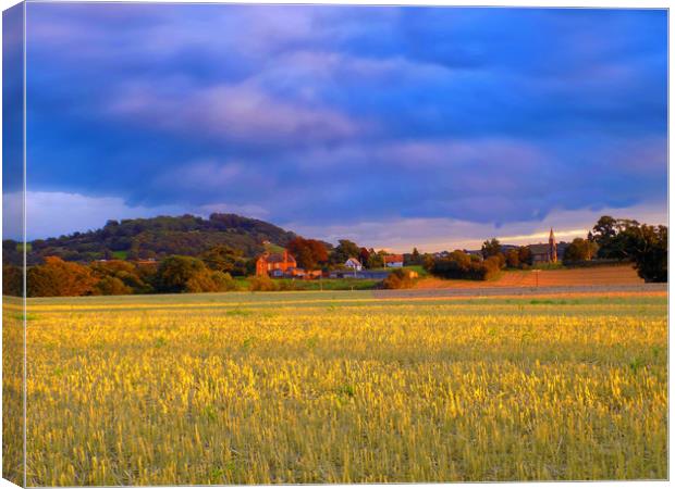 herefordshire farmland Canvas Print by paul ratcliffe