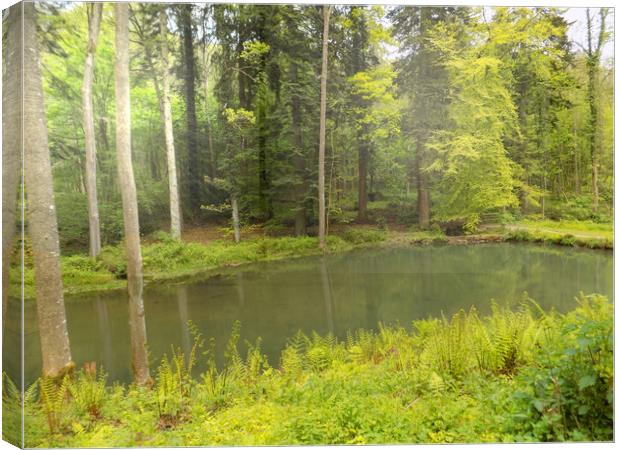 woodland pool Canvas Print by paul ratcliffe