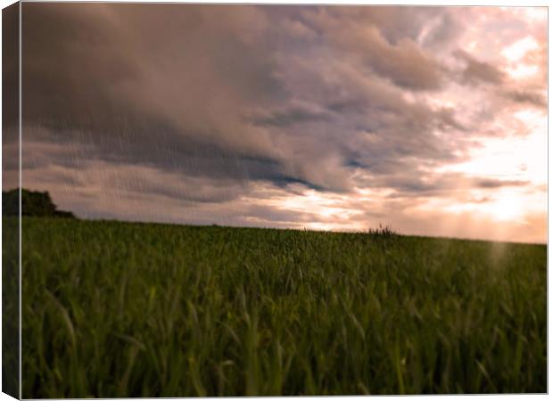 landscape weather hereford Canvas Print by paul ratcliffe