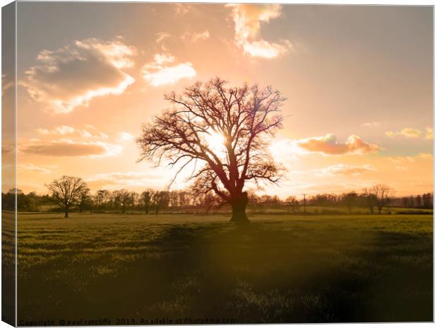 sunset tree herefordshire Canvas Print by paul ratcliffe