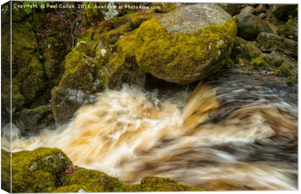 Aira Force Canvas Print by Paul Cullen