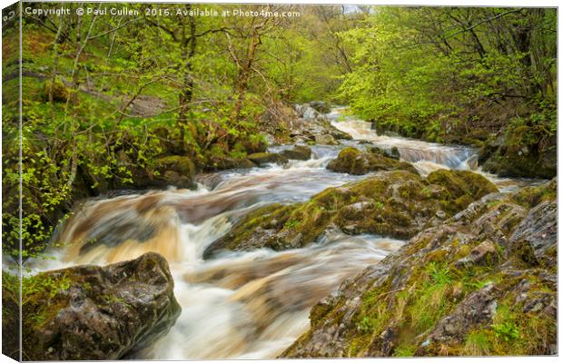 Aira Force Canvas Print by Paul Cullen