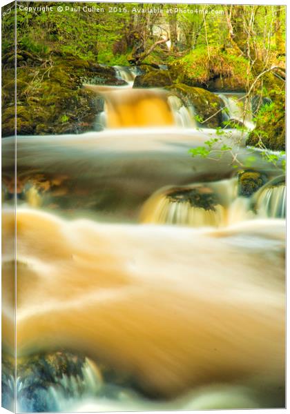 Aira Force Canvas Print by Paul Cullen