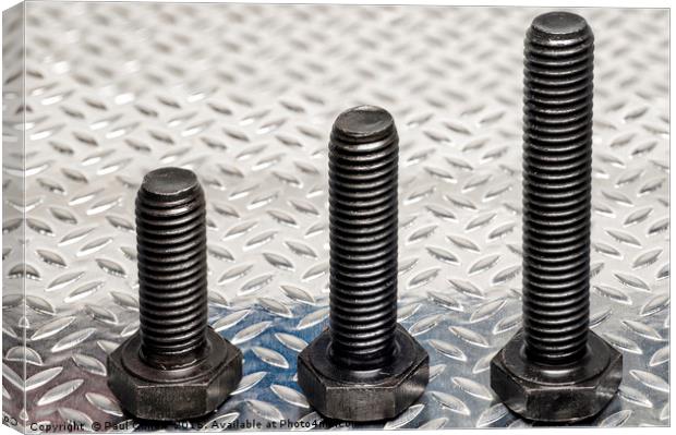 Three metric bolts standing to attention. Canvas Print by Paul Cullen