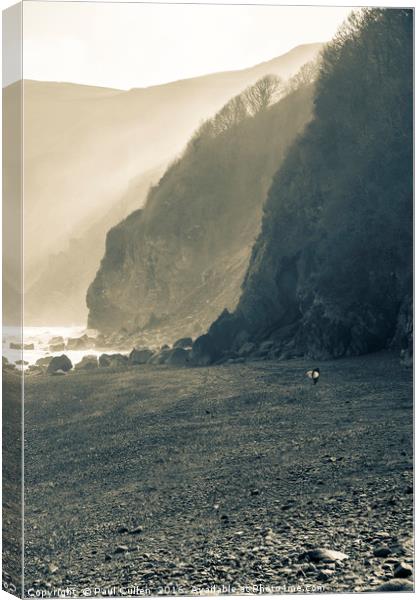 Surfer at Lynmouth. Canvas Print by Paul Cullen