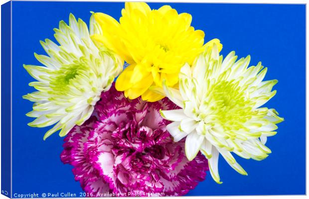 Carnation and Chrysanthemums Canvas Print by Paul Cullen