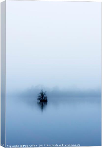 Minimalist Tree in the fog. Canvas Print by Paul Cullen