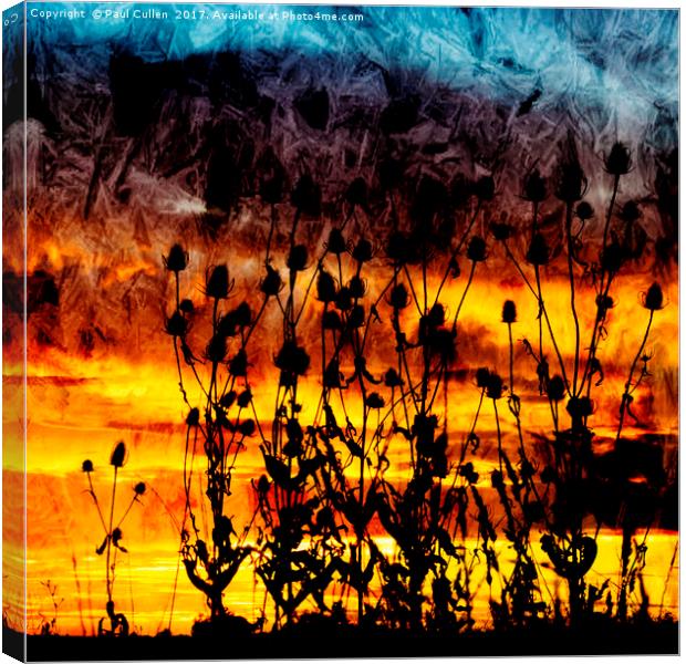 Teasel Silhouette at Sunset. Canvas Print by Paul Cullen