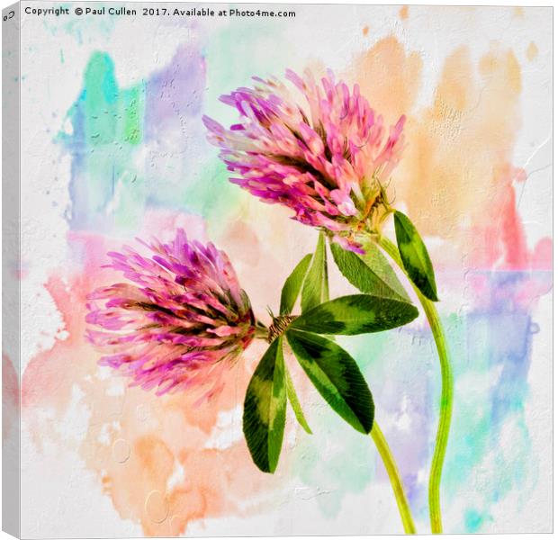 Two Clover Flowers with Pastel Shades. Canvas Print by Paul Cullen