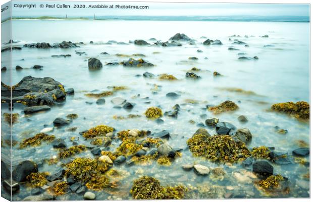 Rocks and Seaweed Uncovered at Lindisfarne. Canvas Print by Paul Cullen