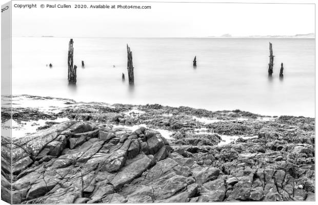 The Old Posts at Lindisfarne - Monochrome Canvas Print by Paul Cullen