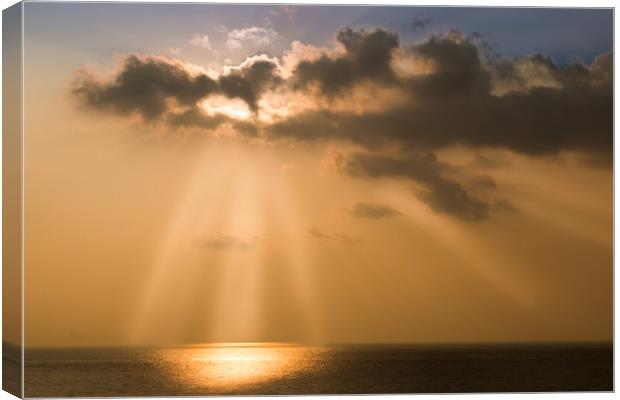 Light From Above Canvas Print by Mick Sadler ARPS