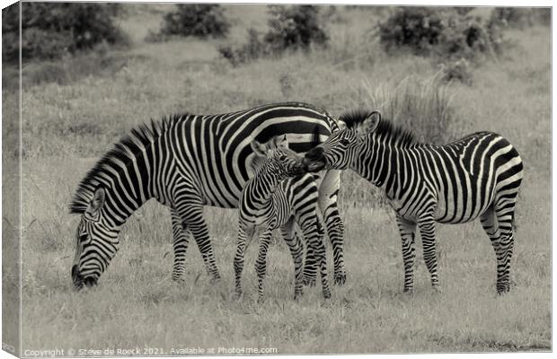 Zebra family. Canvas Print by Steve de Roeck
