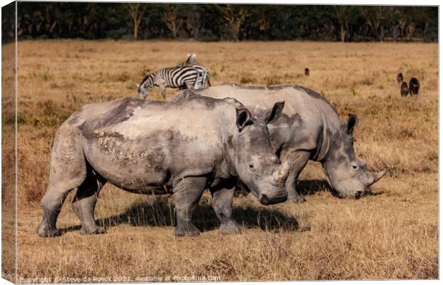 White Rhino and Zebra Canvas Print by Steve de Roeck