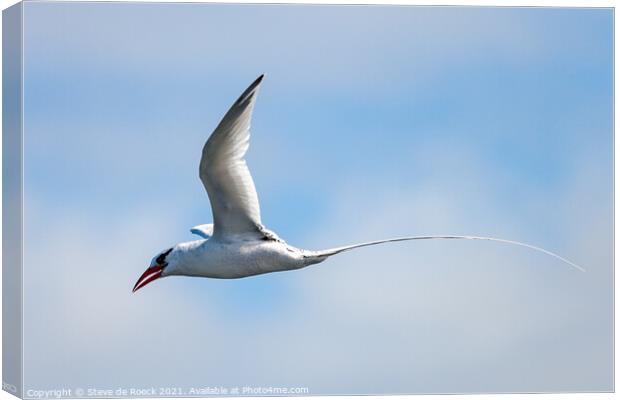 Long Tailed Tropicbird shows his handsome tail against a blue, cloudy sky. Canvas Print by Steve de Roeck
