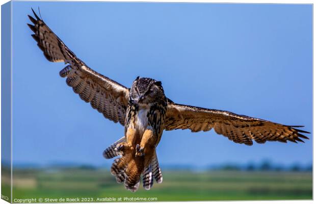 Eurasian Eagle Owl stoops on its prey Canvas Print by Steve de Roeck