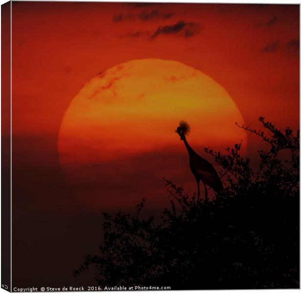 Grey Crowned Crane Welcomes The Dawn Canvas Print by Steve de Roeck