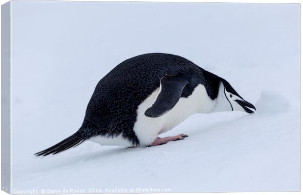 Who Left This Here? Chinstrap Penguin With Snowbal Canvas Print by Steve de Roeck