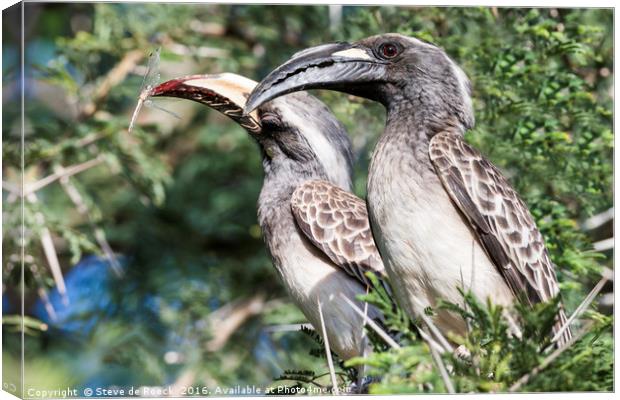 Hornbills at Lunch. Canvas Print by Steve de Roeck