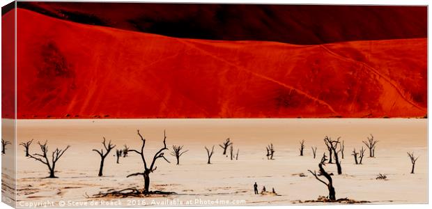 Red Desert Canvas Print by Steve de Roeck