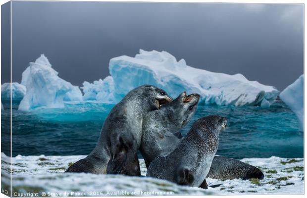 Ice Warriors Canvas Print by Steve de Roeck