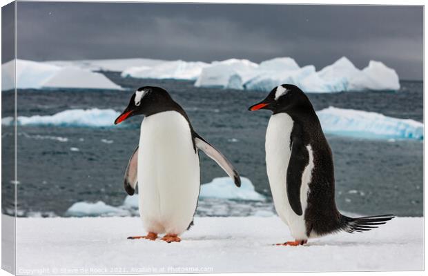 Gentoo Penguins On The Ice Canvas Print by Steve de Roeck
