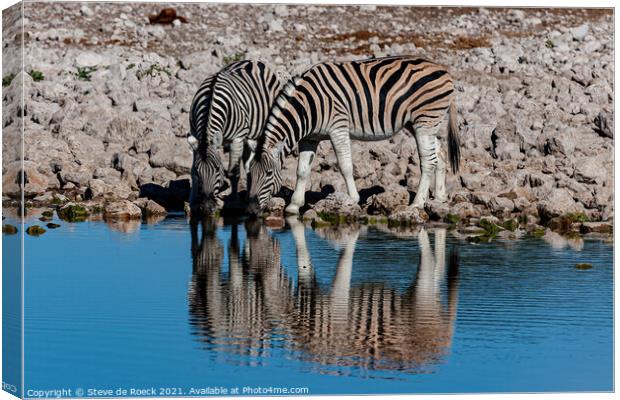 A pair Of Zebra Take A Cool Refreshing Drink Canvas Print by Steve de Roeck