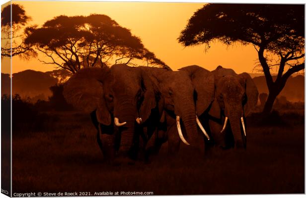 Elephants At Sunset Canvas Print by Steve de Roeck