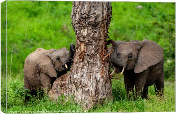 Baby Elephants At Their Favourite Scratching Post Canvas Print by Steve de Roeck