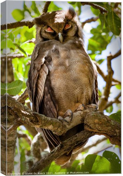 An eagle owl asleep on a tree branch Canvas Print by Steve de Roeck