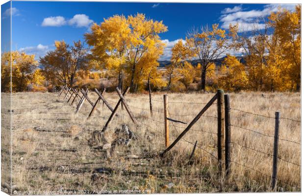 Yellow Trees and Montana Fences Canvas Print by Steve de Roeck