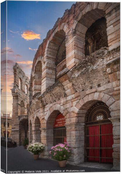 VERONA Arena Canvas Print by Melanie Viola