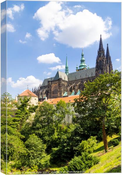PRAGUE St. Vitus Cathedral with castle grounds Canvas Print by Melanie Viola