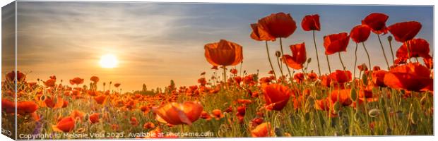 Poppies in the sunset | Panoramic Canvas Print by Melanie Viola