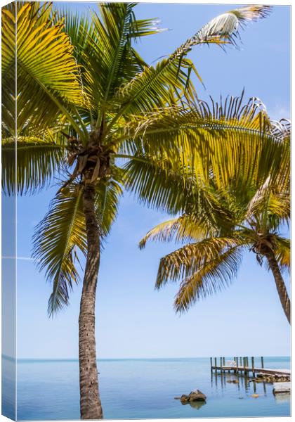 FLORIDA KEYS Heavenly World Canvas Print by Melanie Viola