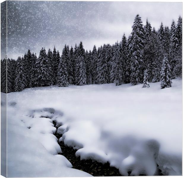 Bavarian Winter's Tale VII Canvas Print by Melanie Viola