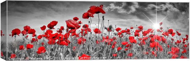 Idyllic Field of Poppies with Sun | Panorama Canvas Print by Melanie Viola