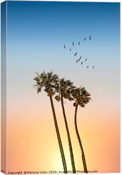 Palm trees & sunset Canvas Print by Melanie Viola