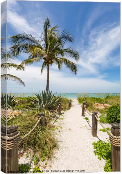 Path to the beach Canvas Print by Melanie Viola