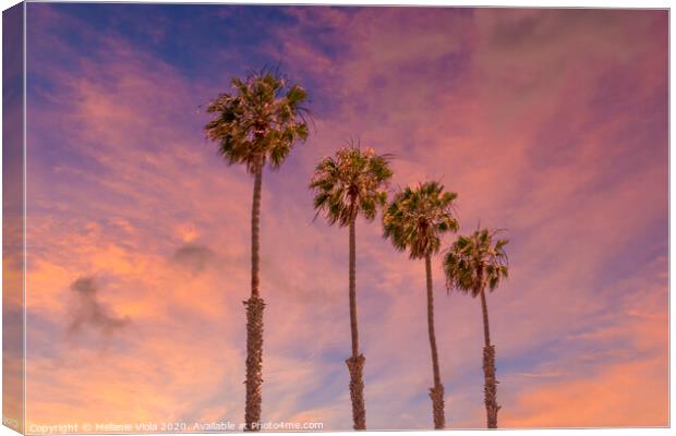 Palm trees sunset  Canvas Print by Melanie Viola