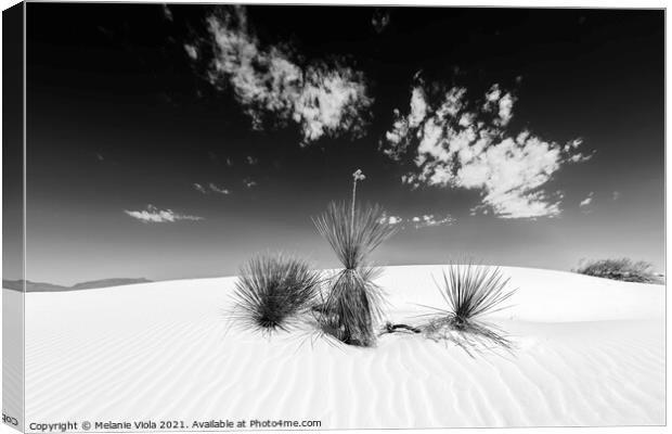 White Sands Impression | Monochrome Canvas Print by Melanie Viola