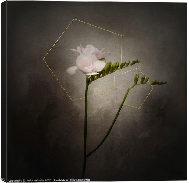 Graceful flower - Freesia | vintage style gold  Canvas Print by Melanie Viola
