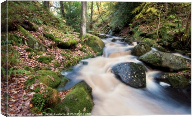 Padley Gorge Canvas Print by Peter Towle