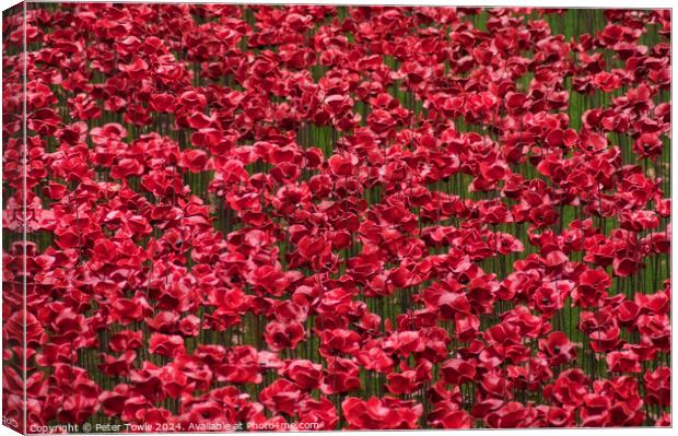 Poppies from the Tower of London Canvas Print by Peter Towle