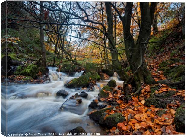 Wyming Brook Canvas Print by Peter Towle
