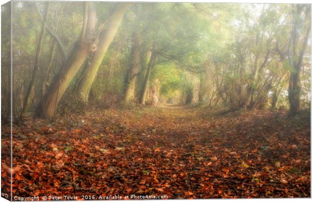 Autumn Woodland Canvas Print by Peter Towle