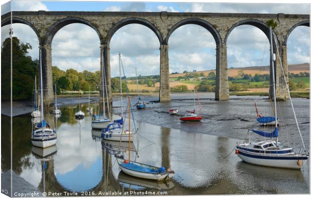 St Germans Viaduct,Cornwall  Canvas Print by Peter Towle