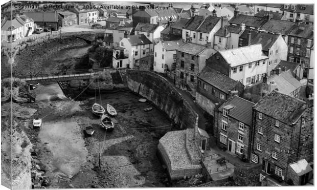 Staithes Canvas Print by Peter Towle