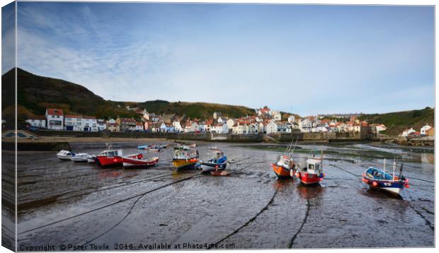 Low tide, Staithes Canvas Print by Peter Towle