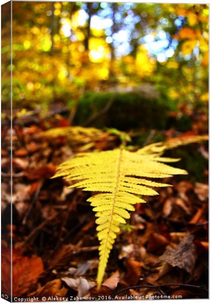 A fern during Autumn Canvas Print by Aleksey Zaharinov